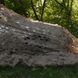 Маскувальна сітка Дубове листя 20225-ДЛ фото 9